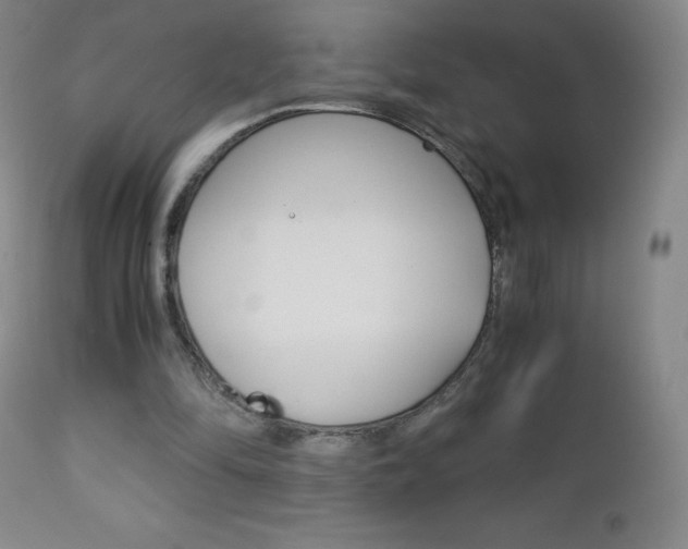 X0000113140294200909041004