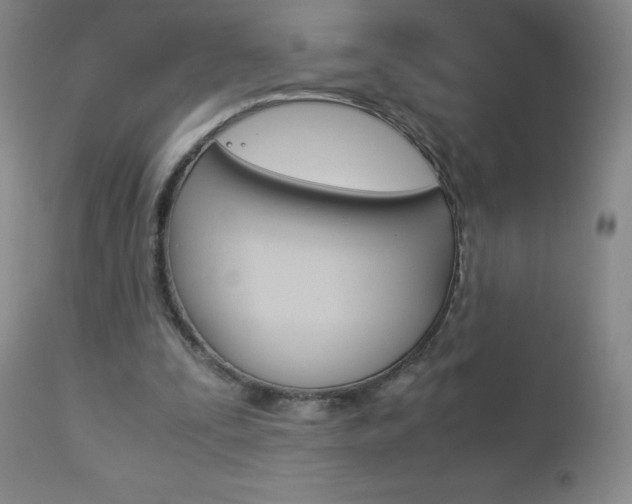 X0000113140295200909041003
