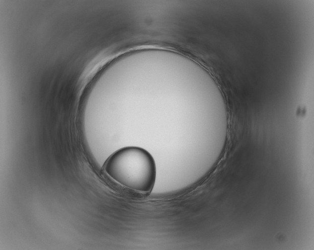 X0000113140296200909041003