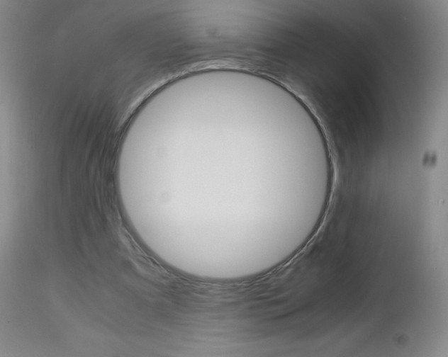X0000113140297200909041003