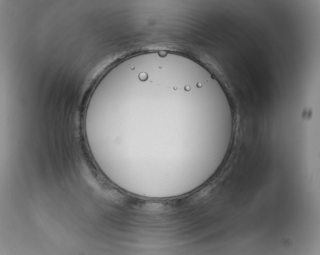 X0000113140298200909041003