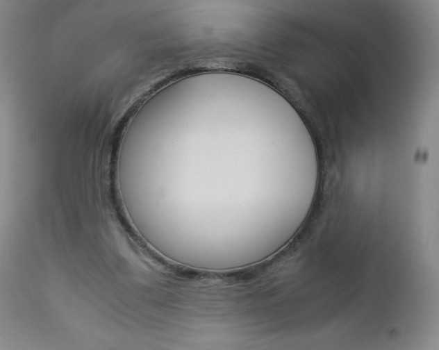 X0000113140299200909041003