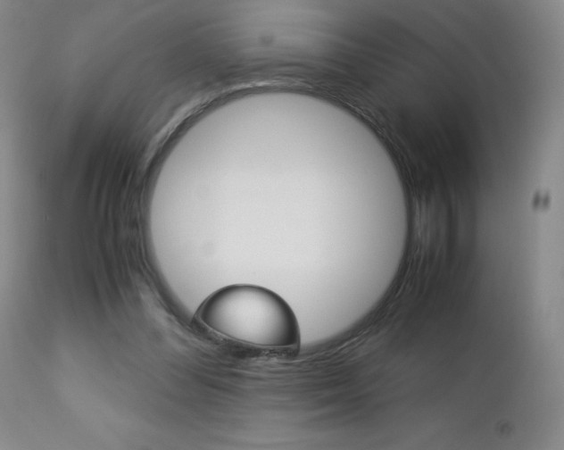 X0000113140300200909041003