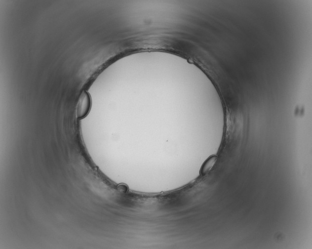 X0000113140301200909041003