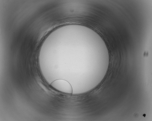 X0000113140302200909041003