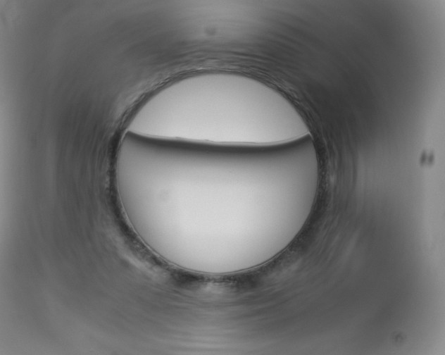 X0000113140303200909041003
