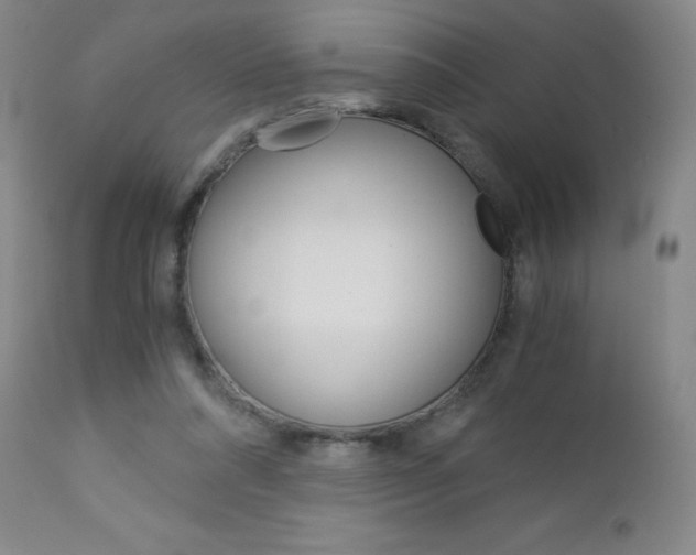 X0000113140304200909041003