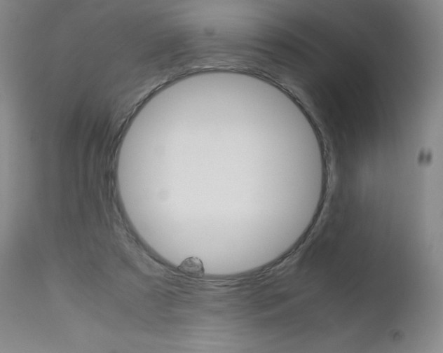 X0000113140305200909041003