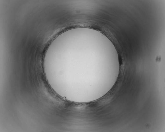 X0000113140306200909041003