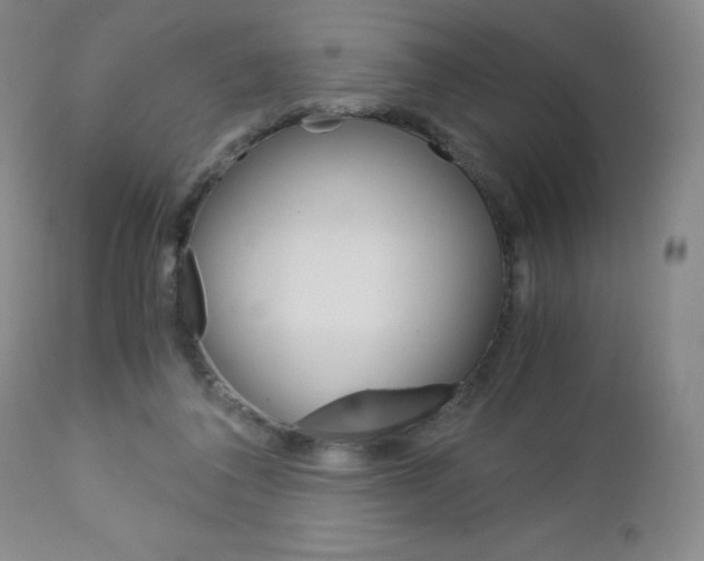 X0000113140308200909041003