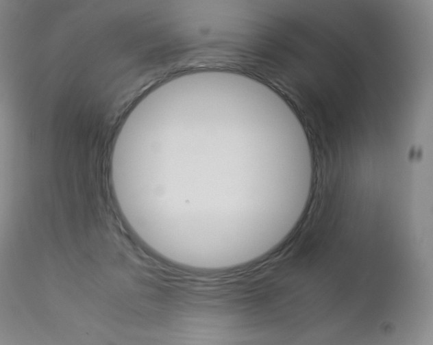 X0000113140309200909041003
