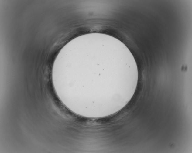X0000113140311200909041003