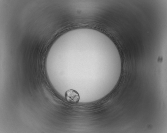 X0000113140312200909041003