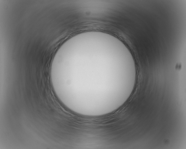 X0000113140313200909041003