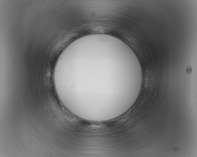 X0000113140314200909041003