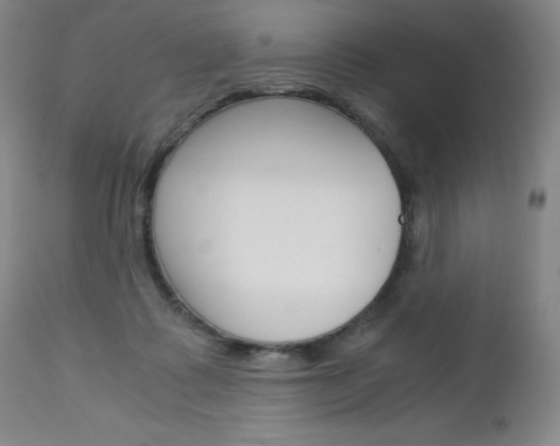 X0000113140315200909041003