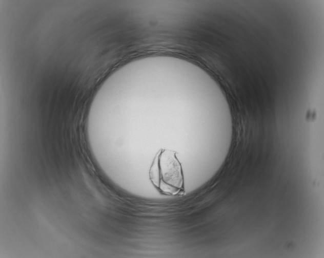 X0000113140316200909041003