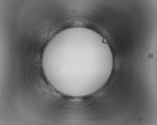 X0000113140318200909041003