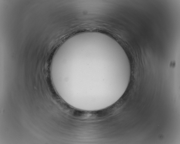 X0000113140319200909041003