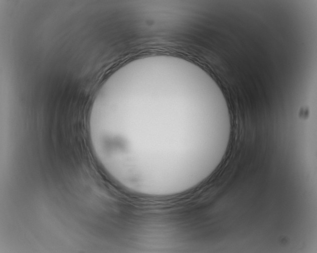 X0000113140320200909041003
