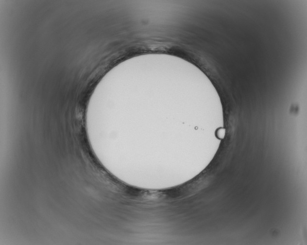 X0000113140321200909041003