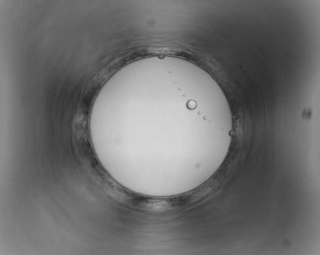 X0000113140322200909041003