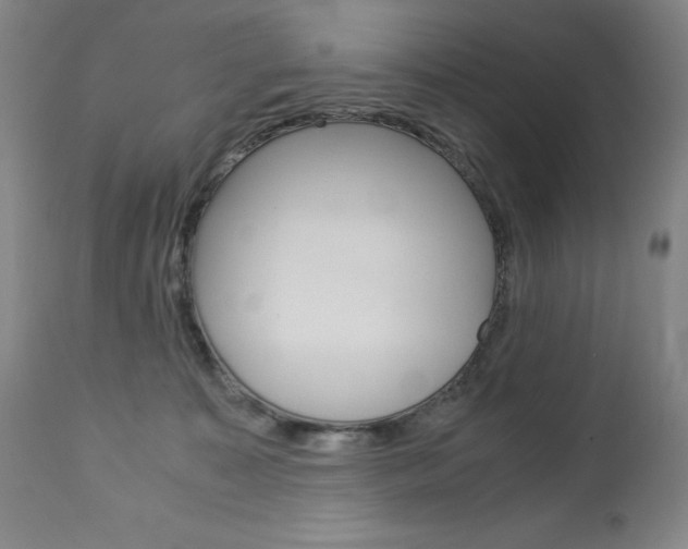 X0000113140323200909041003