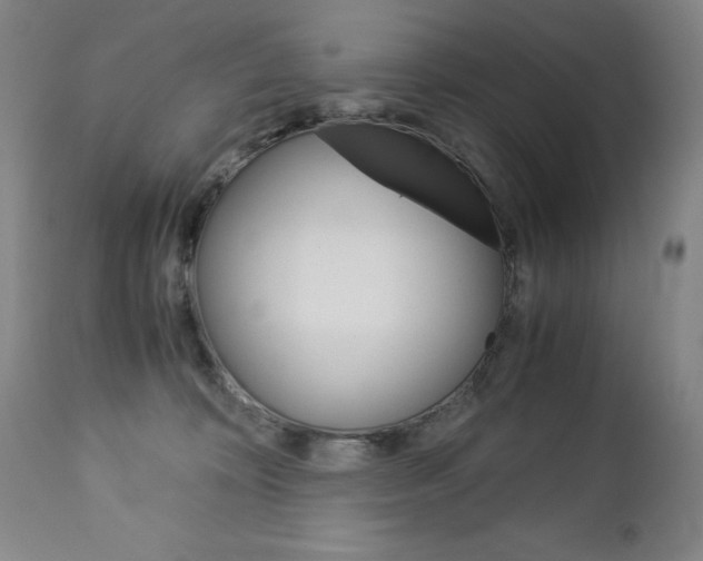 X0000113140324200909041003