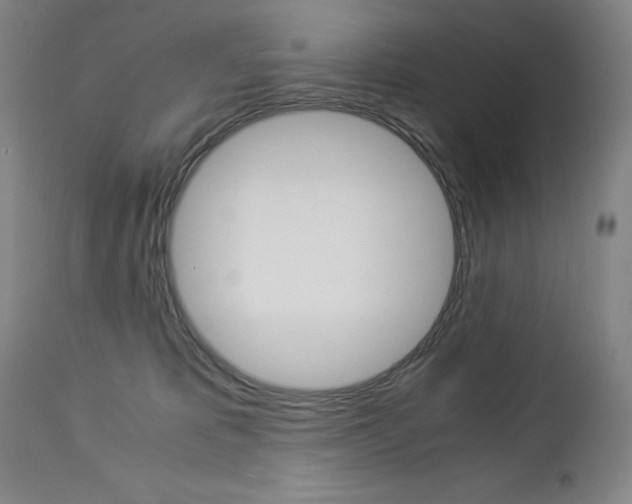 X0000113140325200909041003