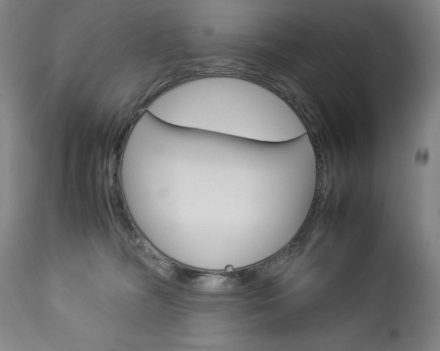 X0000113140326200909041003