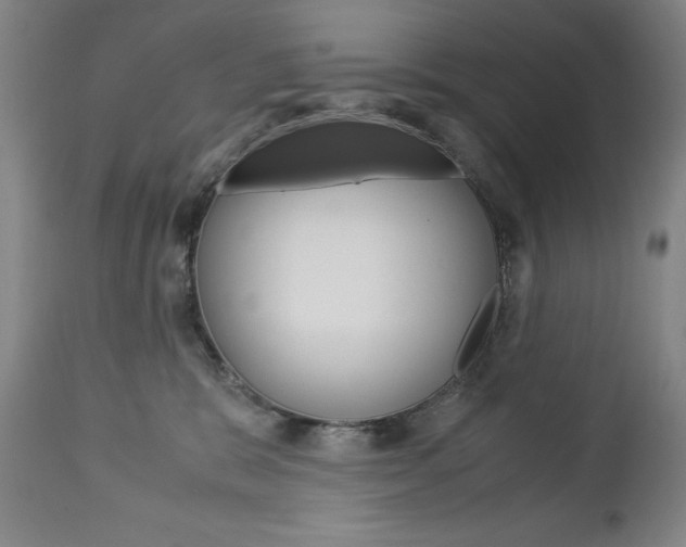 X0000113140327200909041003