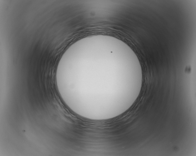 X0000113140328200909041003