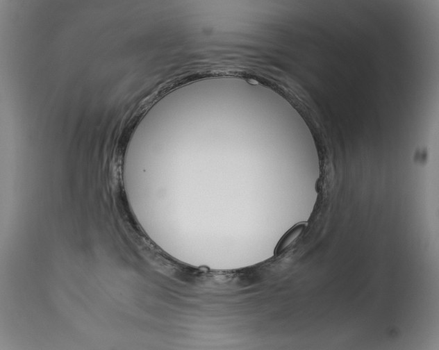 X0000113140329200909041003