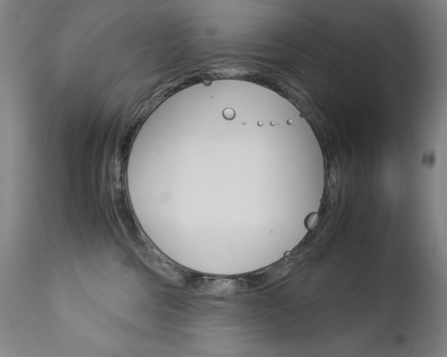 X0000113140330200909041003