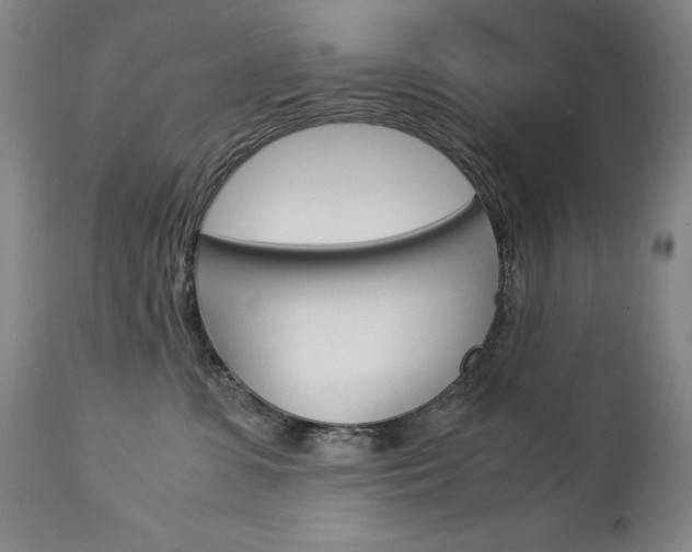 X0000113140331200909041003