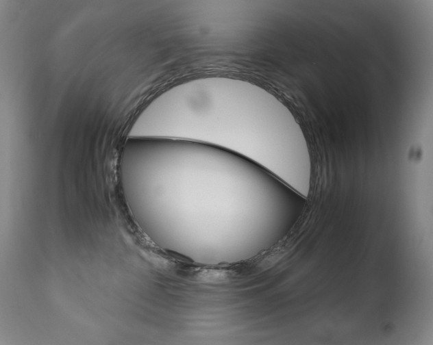 X0000113140332200909041003
