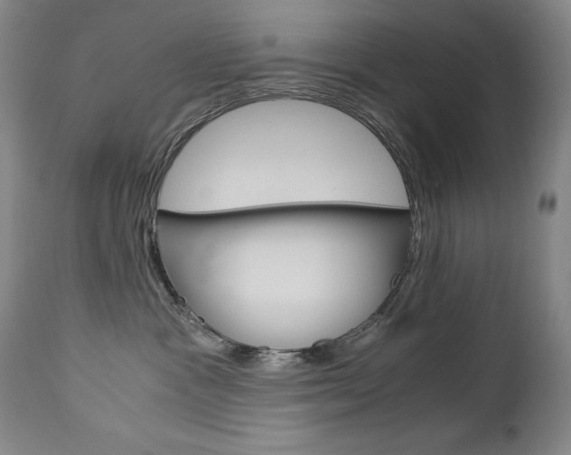 X0000113140333200909041003
