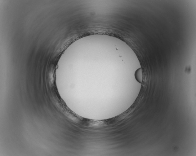 X0000113140334200909041003