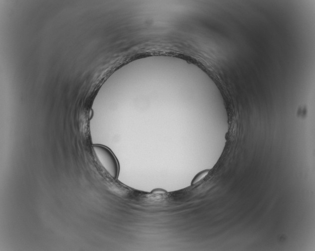 X0000113140335200909041003