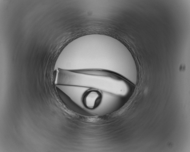 X0000113140336200909041003