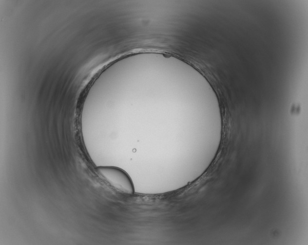 X0000113140338200909041002