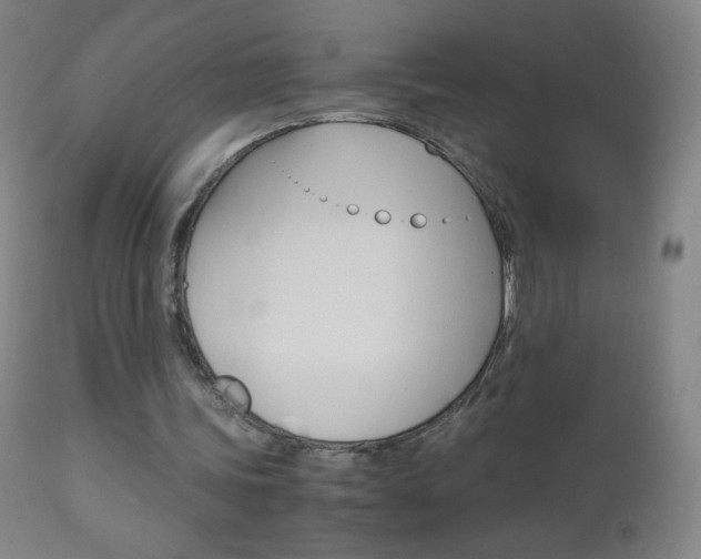 X0000113140339200909041002