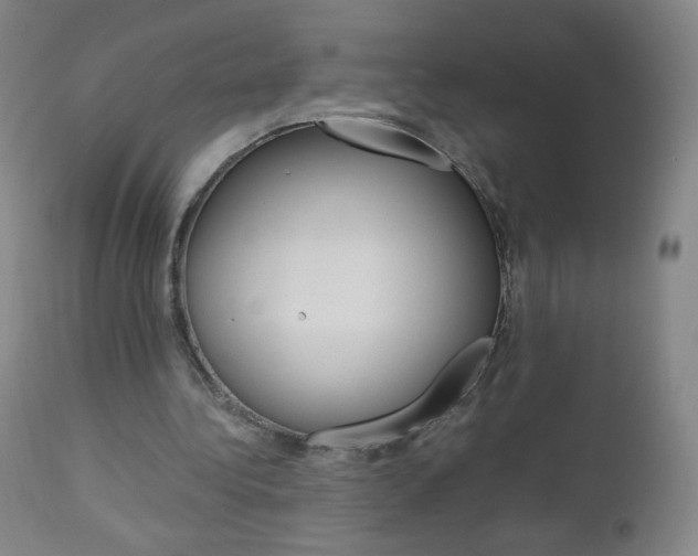 X0000113140340200909041002