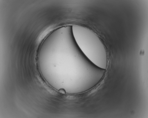 X0000113140341200909041002