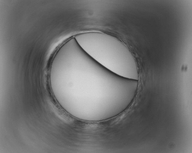 X0000113140342200909041002
