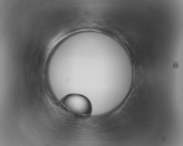 X0000113140344200909041002
