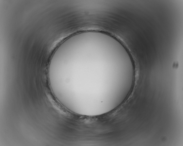 X0000113140345200909041002