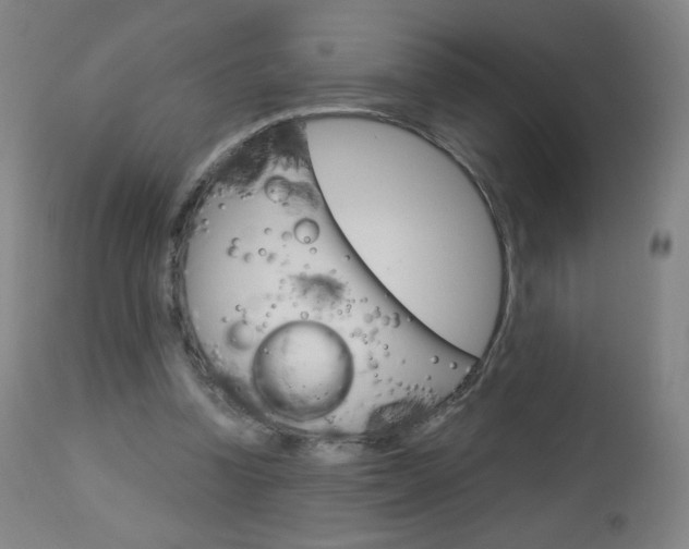 X0000113140346200909041002