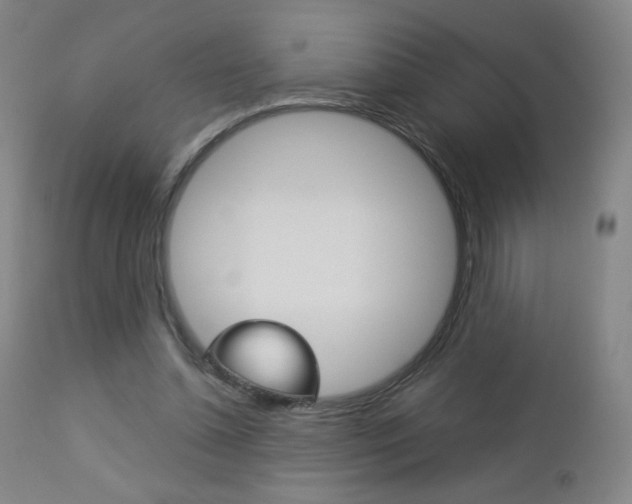 X0000113140348200909041002