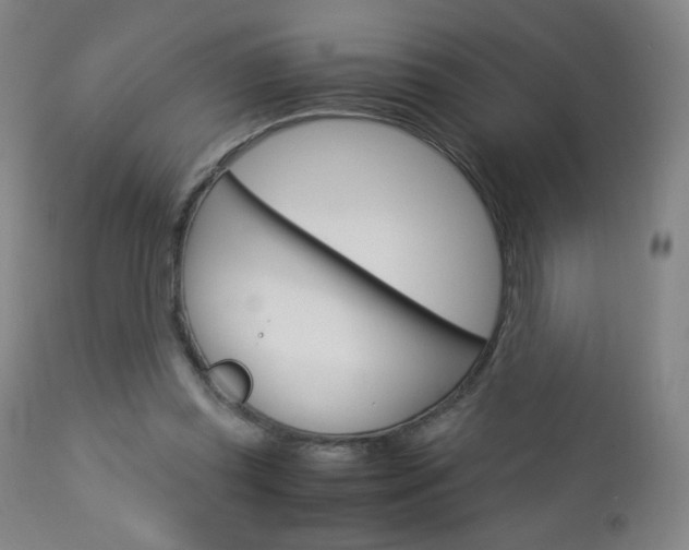 X0000113140349200909041002
